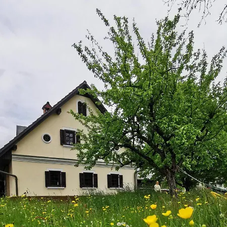 Pri Lipet Holiday home