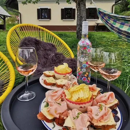 Holiday home Pri Lipet Ziri