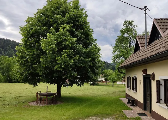 בית נופש Pri Lipet Ziri